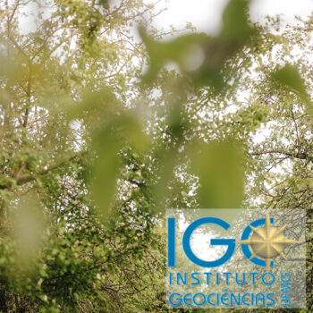 Processo Sucessório para a Diretoria do Instituto de Geociências Gestão 2026-2030